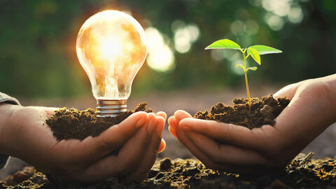 Eine Hand hält Erde und eine leuchtende Glühbirne, eine zweite Hand hält Erde und einen Setzling. Beide Hände liegen locker auf Erde. Den Hintergrund bildet eine verschwommene Pflanzenkulisse.