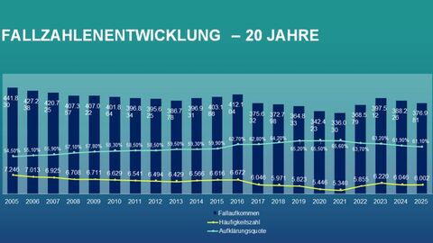 Die Fallzahlen sinken von rund 442.000 (2005) auf etwa 336.000 (2021) und steigen bis 2025 wieder auf ca. 377.000. Die Häufigkeitszahl geht insgesamt zurück, während die Aufklärungsquote von etwa 54 % auf über 60 % ansteigt.